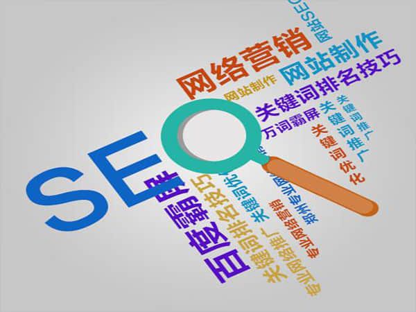 枞阳网站整站优化服务费用分析